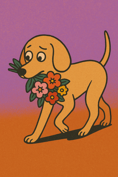 임술 일주 카드